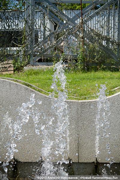 С собакой-улыбакой: Ярошук вновь пообещал завершить реконструкцию набережной Верхнего озера