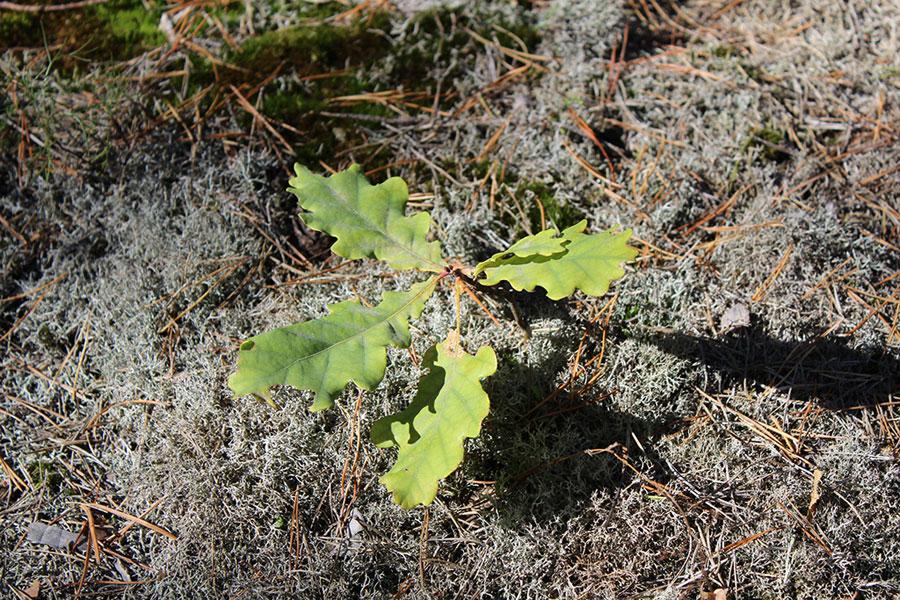 Фото предоставлено национальным парком