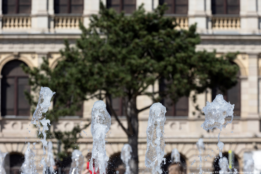 «Быки» и «младенцы»: в Калининграде начался сезон фонтанов (фото)