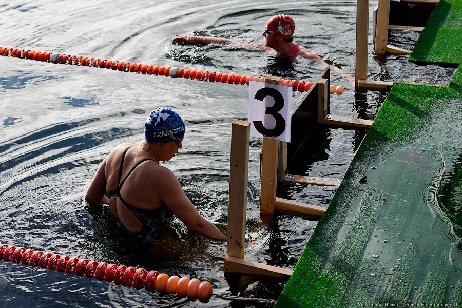 Время моржей: в  Калининграде прошли соревнования по зимнему плаванию (фото)