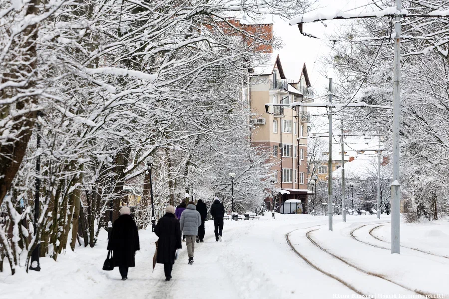 СМИ: регионам хотят разрешить ограничивать формирование этнических анклавов