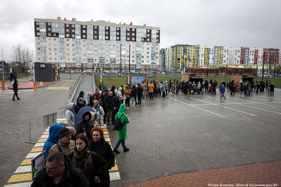 Один на ринге: как проходило голосование в Калининградской области (фото)