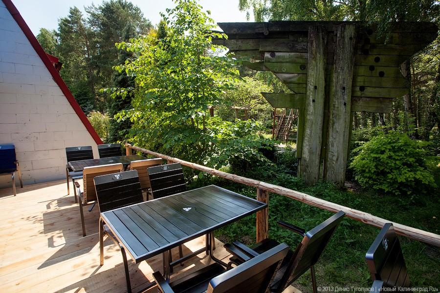 Вы ели жареных ворон?: кафе «Курена» на Куршской косе