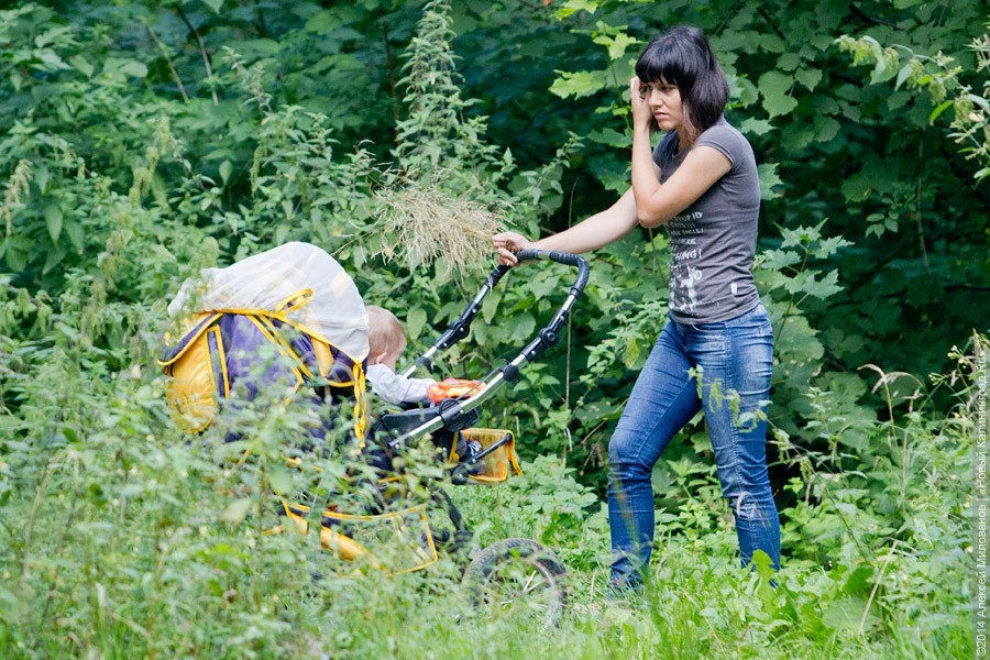 В правительстве хотят повысить пособие на детей, но выплачивать его не всем