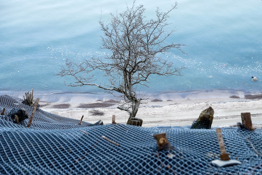 Опрос: брать отпуск летом 2020 года собирается только четверть россиян