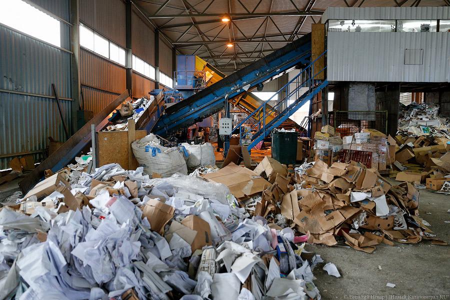 «Нечистый» бизнес: как и где в Калининграде научились зарабатывать на отходах