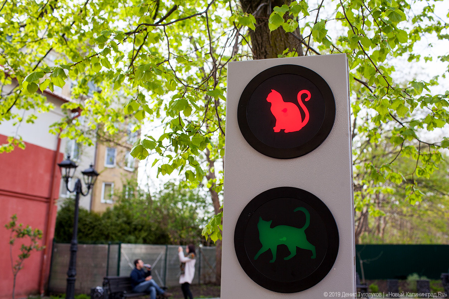 Глава Зеленоградска: «У нас паркуются где хотят, и эвакуаторщики не приезжают»