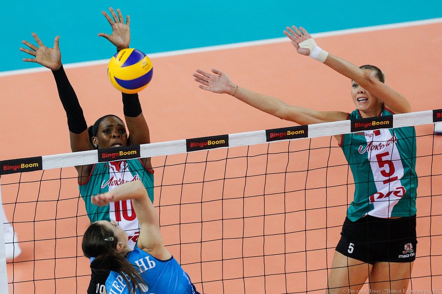 Два «Динамо» подряд: в Калининграде проходит волейбольный «Финал четырех» (фото)