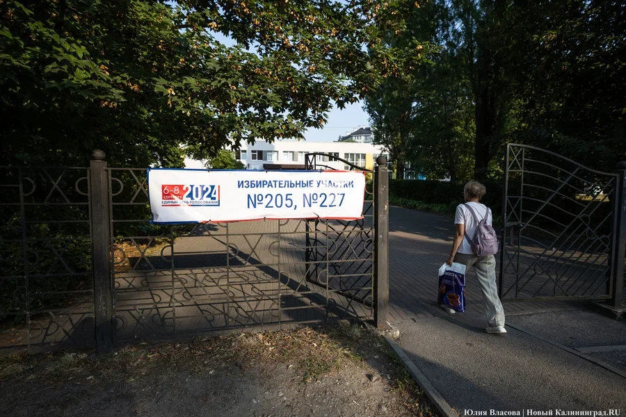Беспрозванных в Калининграде поддержало 14% избирателей