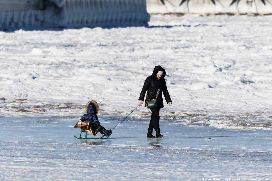 Балтика во льдах: как выглядит побережье после рекордных морозов