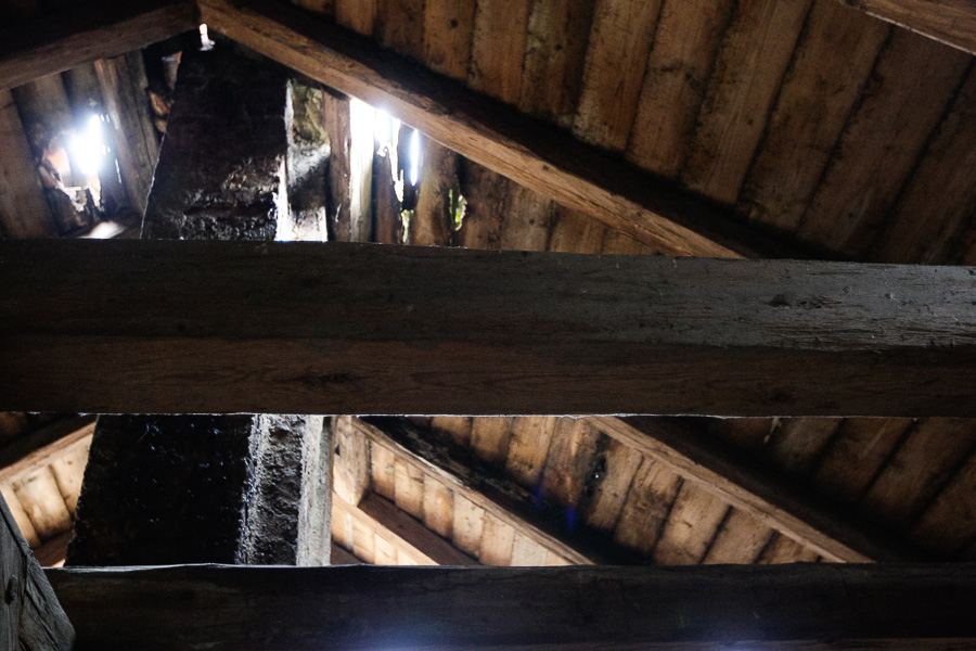 Виталий Невар / Новый Калининград