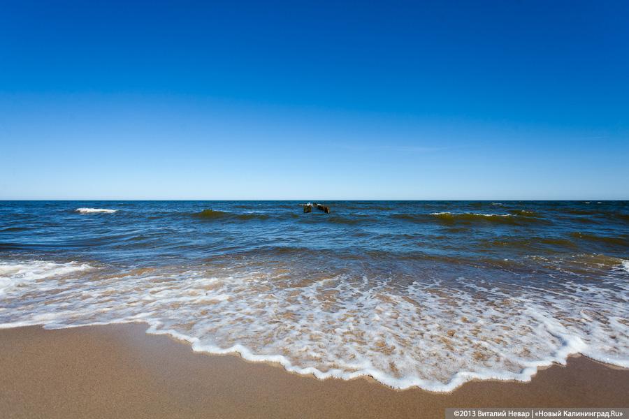 «Камбала и другие»: гастрономический фестиваль в Светлогорске