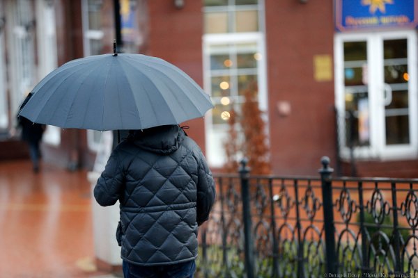 Пасмурно, небольшой дождь: погода в Калининграде на выходные