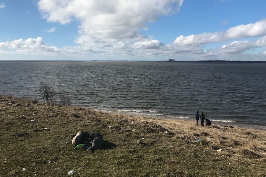 СК установил личность молодой женщины, тело которой нашли на берегу залива