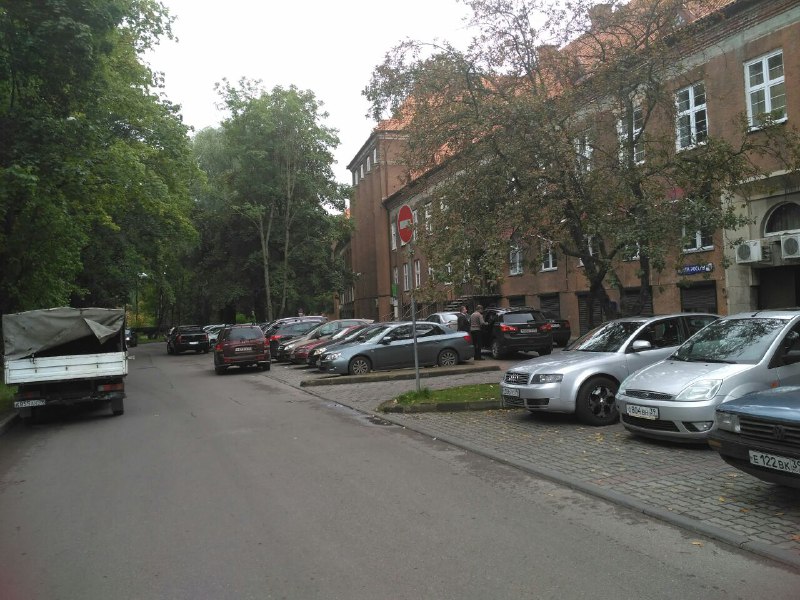 Чиновники калининградского правительства проигнорировали День без автомобиля