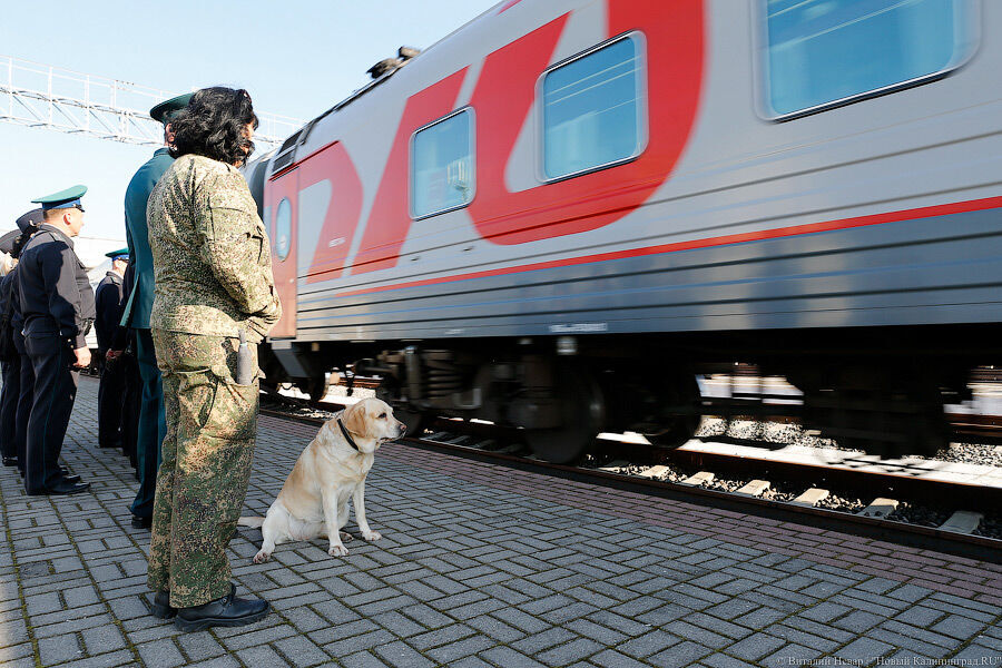 Алиханов объяснил, почему нельзя добавить вагоны в поезда до «большой России»
