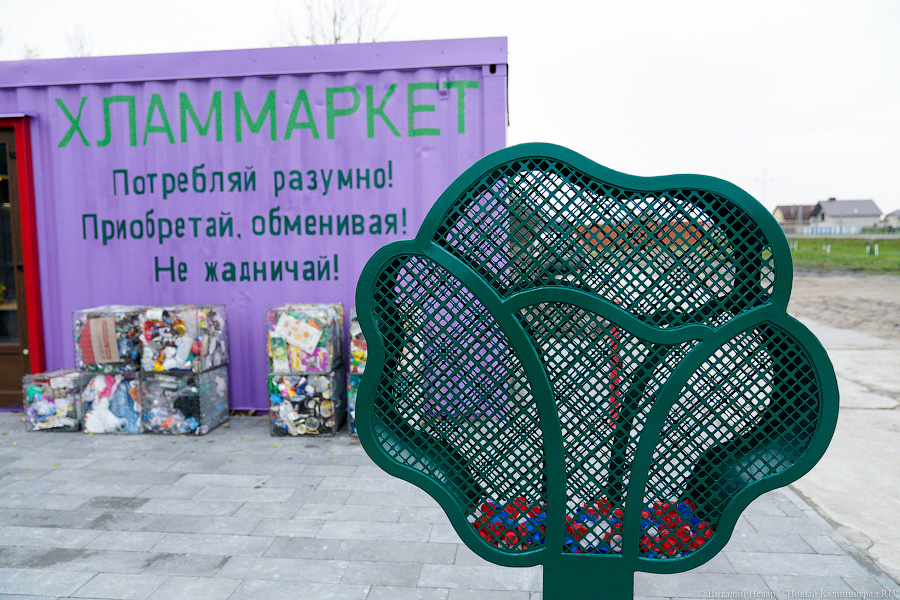 На экоплощадке «Зеленый КОТ» под Зеленоградском за год собрали 11 тонн макулатуры