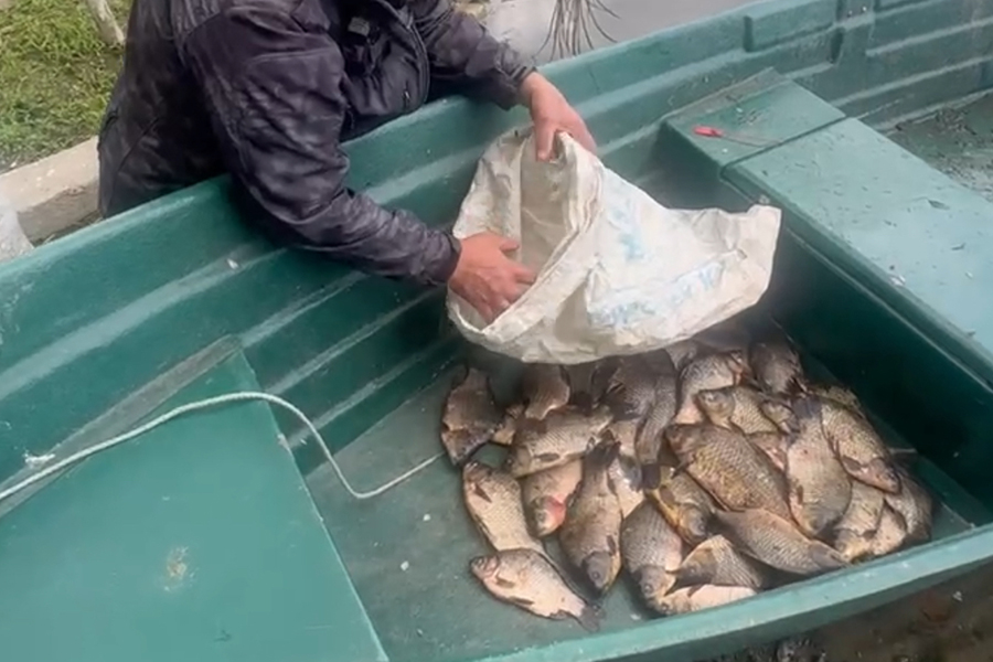 Сумма штрафов теруправления Росрыболовства за полгода превысила 3 млн рублей (фото)