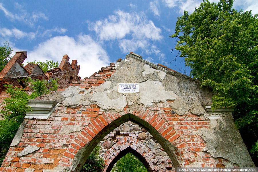 Забытые могилы: кирха и кладбище в поселке Тишино зарастают деревьями