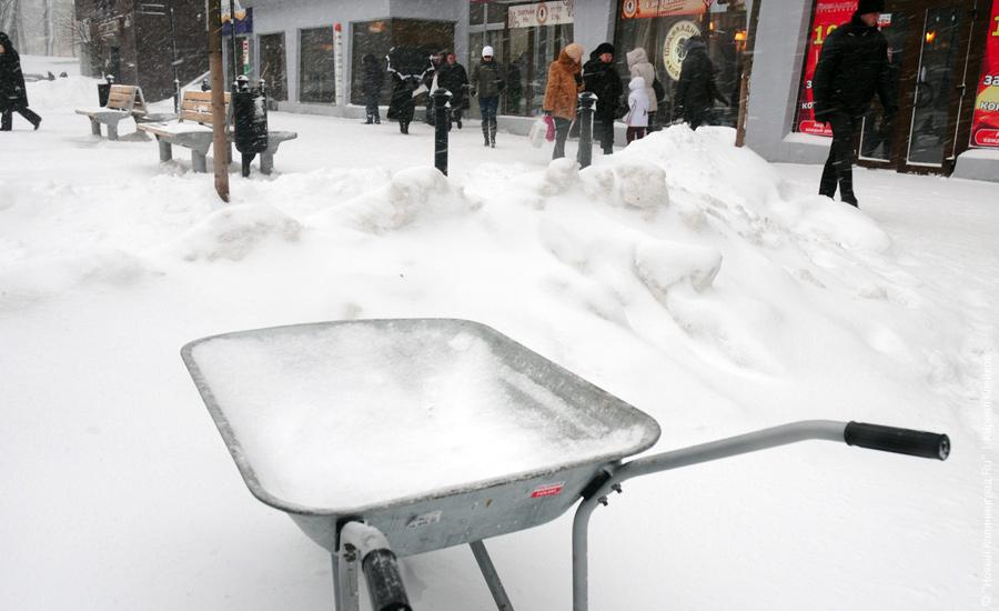 "Нападение белых мух": фоторепортаж "Нового Калининграда.Ru"
