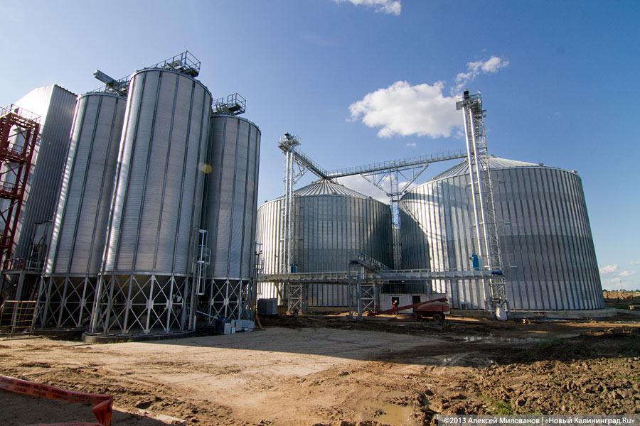 «Я все пью, а мне все хуже»: как Краснознаменск встретил Николая Цуканова