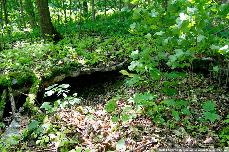 Без окон и дверей: законсервированная Кирха в Домново начала разрушаться