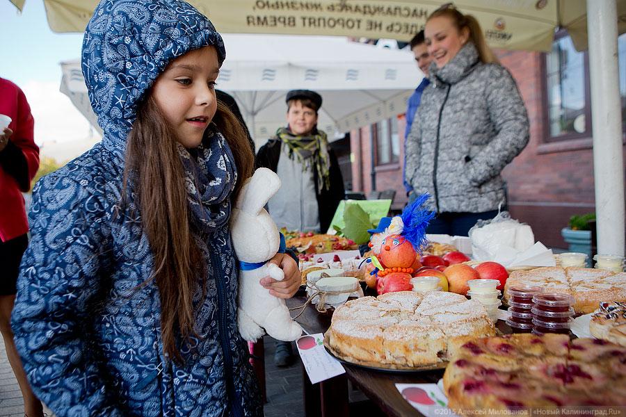 Сядь на пенёк, съешь пирожок: как прошел фестиваль шарлотки