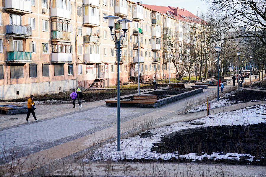 Почему без снега. Улицы без снега. Улицы весной без снега. Сибирь без снега. Фото без снега.
