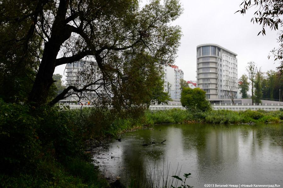 Куда уехал цирк: прогулка по Южному парку