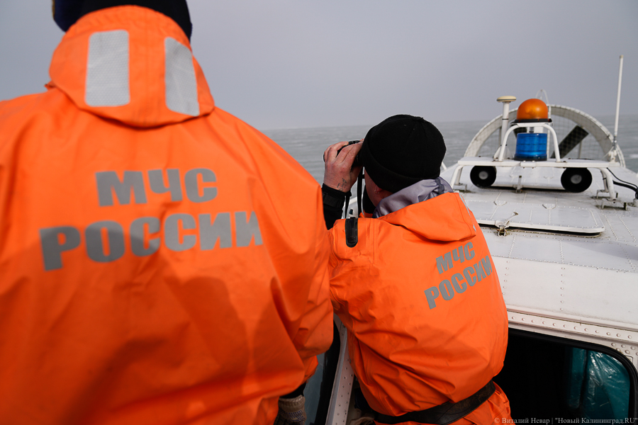 В Москве задержали экс-замглавы МЧС Андрея Гуровича