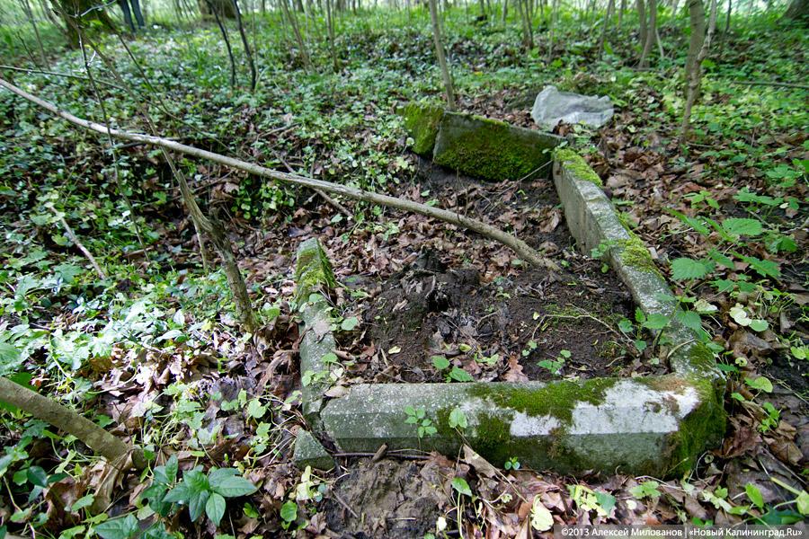 «Если вас это так волнует...»: у руин кирхи в Чехово раскопано немецкое кладбище