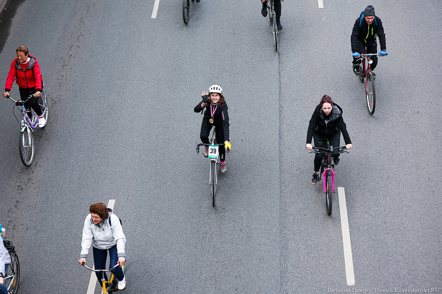 Лыжи, велики, унициклы: как прошёл велопарад в Калининграде (фото)