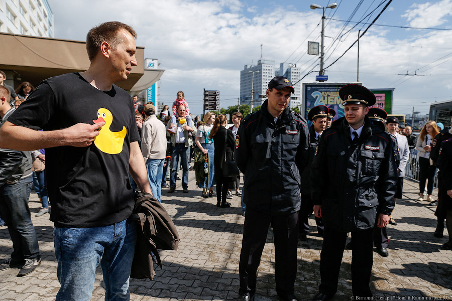 Утки-мандаринки: в Калининграде прошло шествие против коррупции