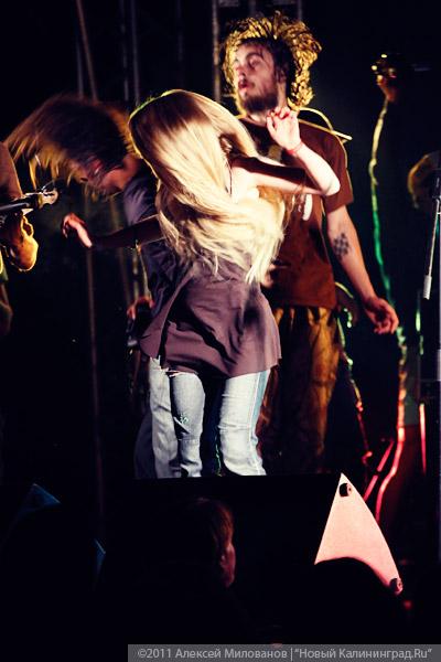 "Насекомая страна": фоторепортаж "Афиши Нового Калининграда.Ru"