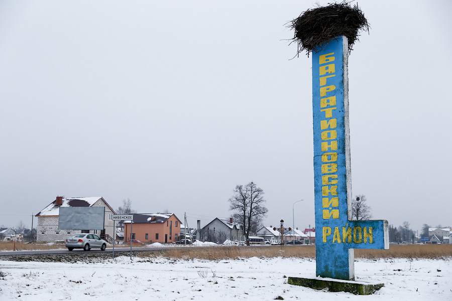 В Багратионовске осудили жителя СНТ, грозившего застрелить соседа из пневматической винтовки
