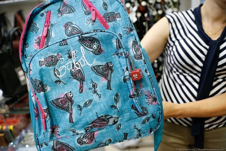 Калининградке присудили штраф в 4 раза больше взятки, которую она хотела дать полицейскому