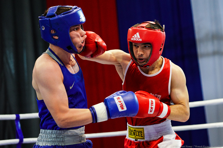 Очередной нокдаун: в Калининграде прошёл международный турнир по боксу «Янтарные перчатки»
