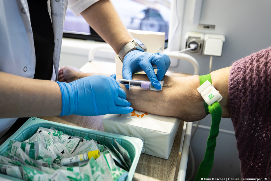 От зарядки до анализов: как в Калининграде прошёл Всемирный день здоровья