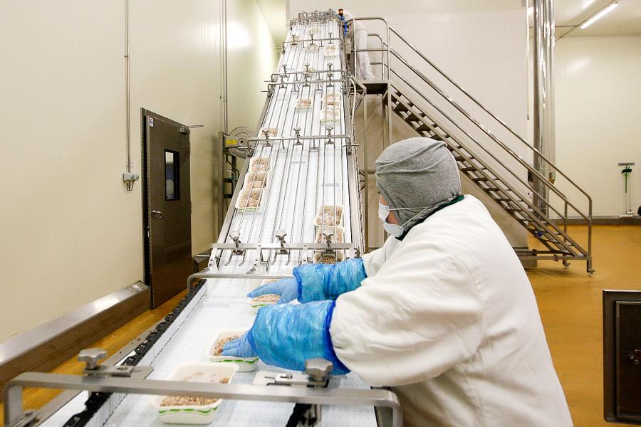 Как делают котлеты для «Макдоналдса»: вторая жизнь горевшей «Конкордии» 