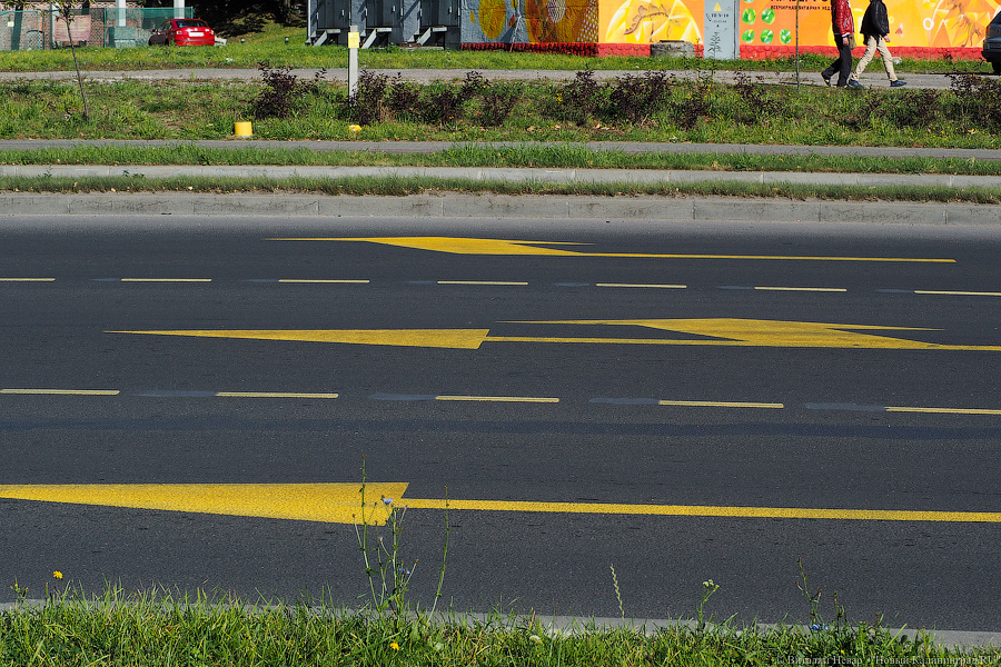 В Калининграде намерены увеличить количество выделенных полос для общественного транспорта