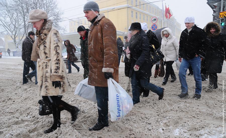 "Нападение белых мух": фоторепортаж "Нового Калининграда.Ru"