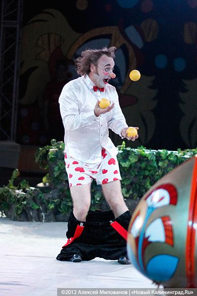 «Цирк в подарок»: фоторепортаж c премьеры цирковой программы