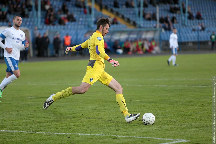 Глава Минспорта: сборной России по силам выйти в полуфинал Кубка конфедераций