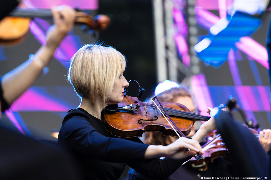 «Территория мира — Территория музыки»: как проходит open-air классической музыки