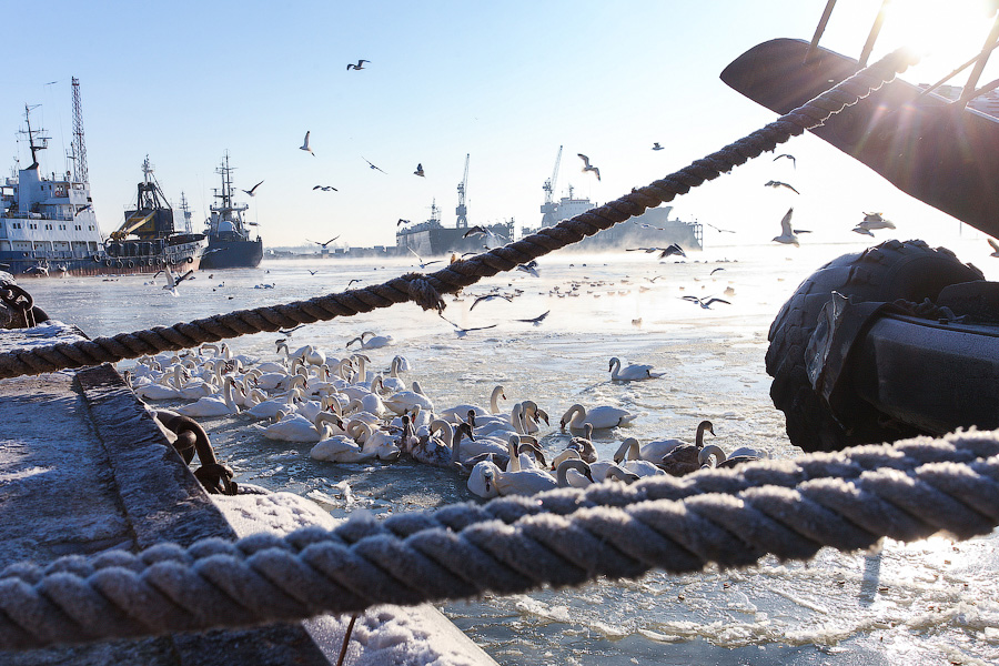 В ЦЖКУ Минобороны опровергли причастность к аварии на сетях водоснабжения Балтийска