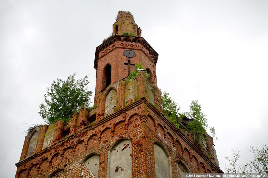 «Если вас это так волнует...»: у руин кирхи в Чехово раскопано немецкое кладбище