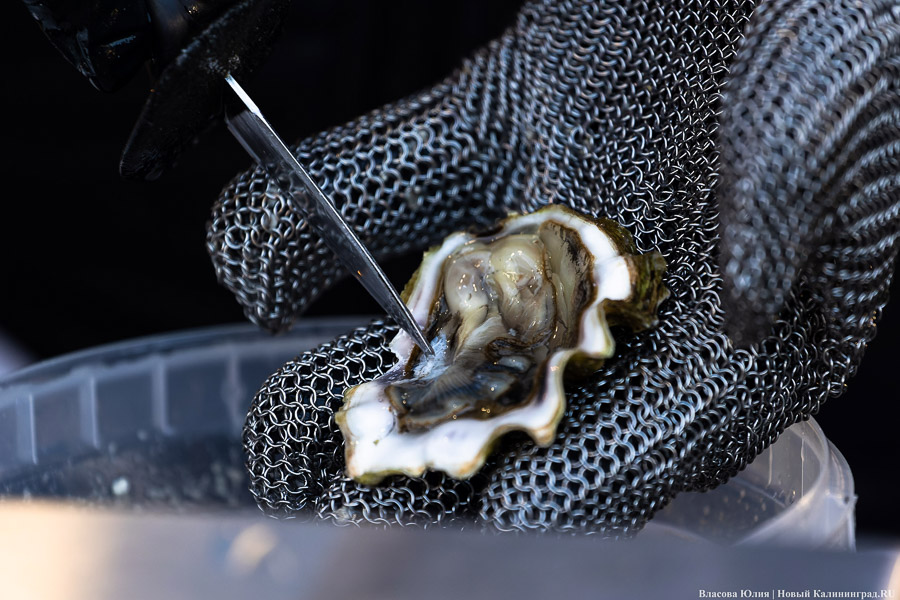 А-ля Новый год: в Зеленоградске «Фиштивалем» в апреле открыли курортный сезон (фото)