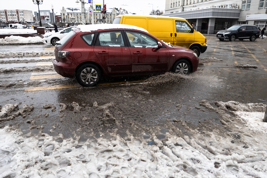 Дятлова рассказала, как власти мониторят состояние города во время оттепели