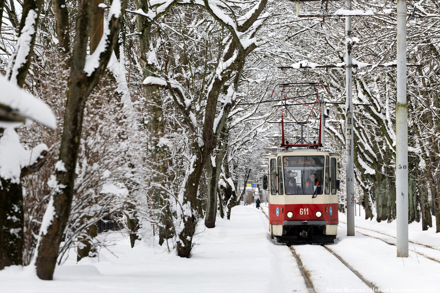 Погода в Калининградской области 8 января 