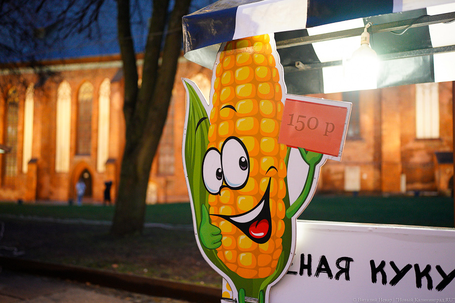 Девочки, записываемся на ободочки: в Калининграде открылась новогодняя ярмарка на острове Канта (фото)